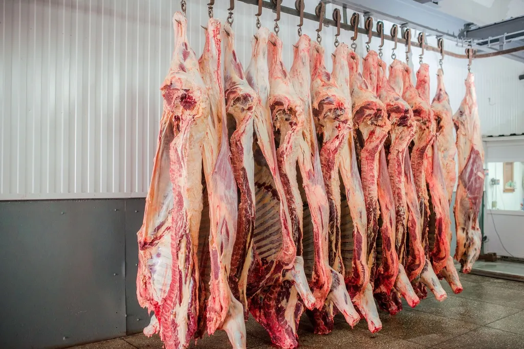 Meat (Beef)