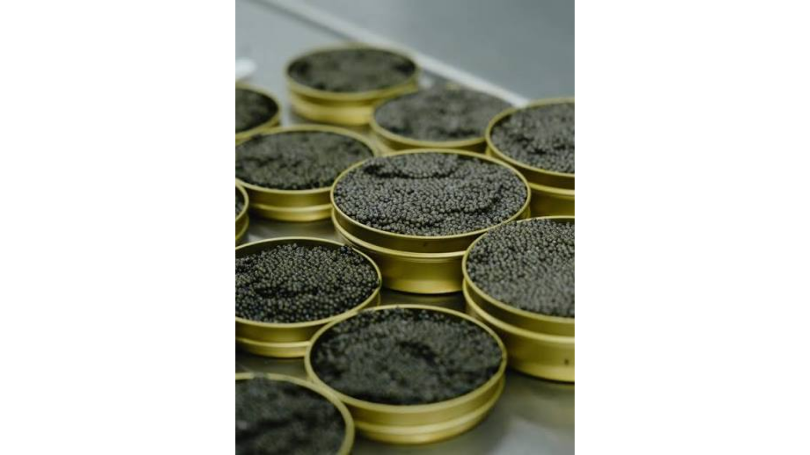 Fish roe