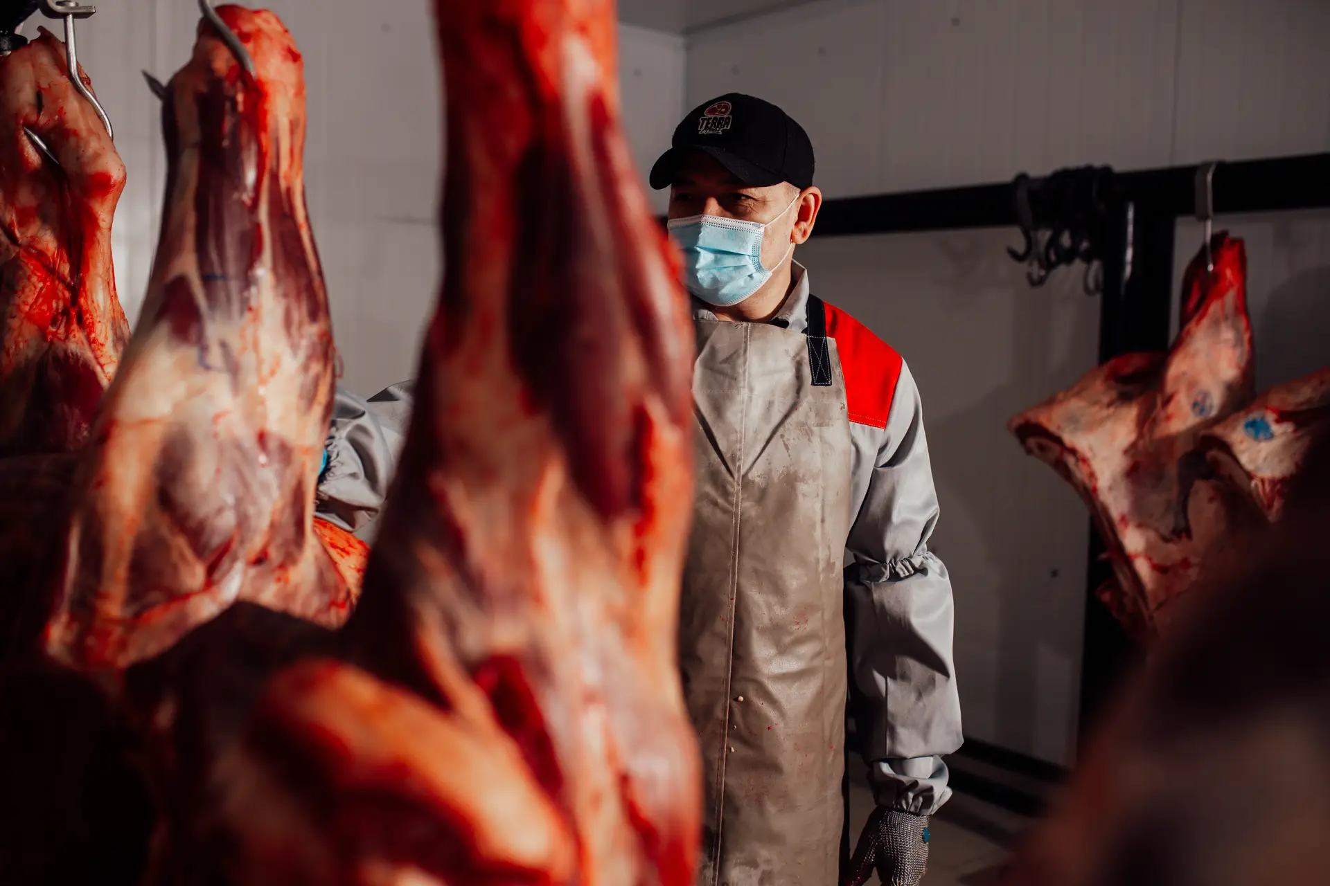 Meat. Beef in carcasses 