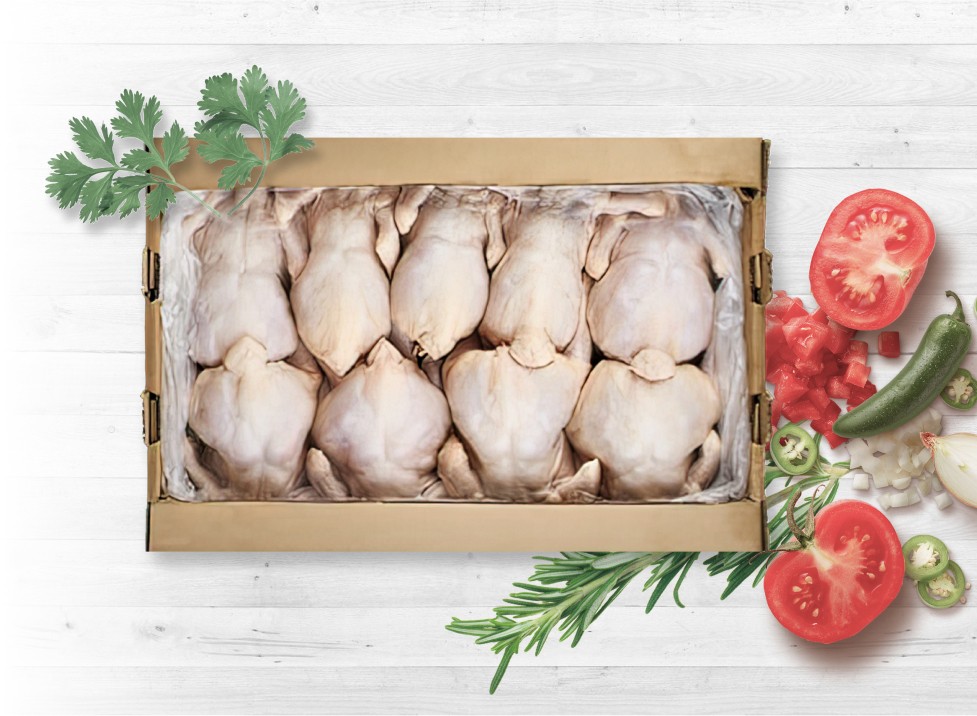 Broiler chicken carcass from Prima Kus LLP