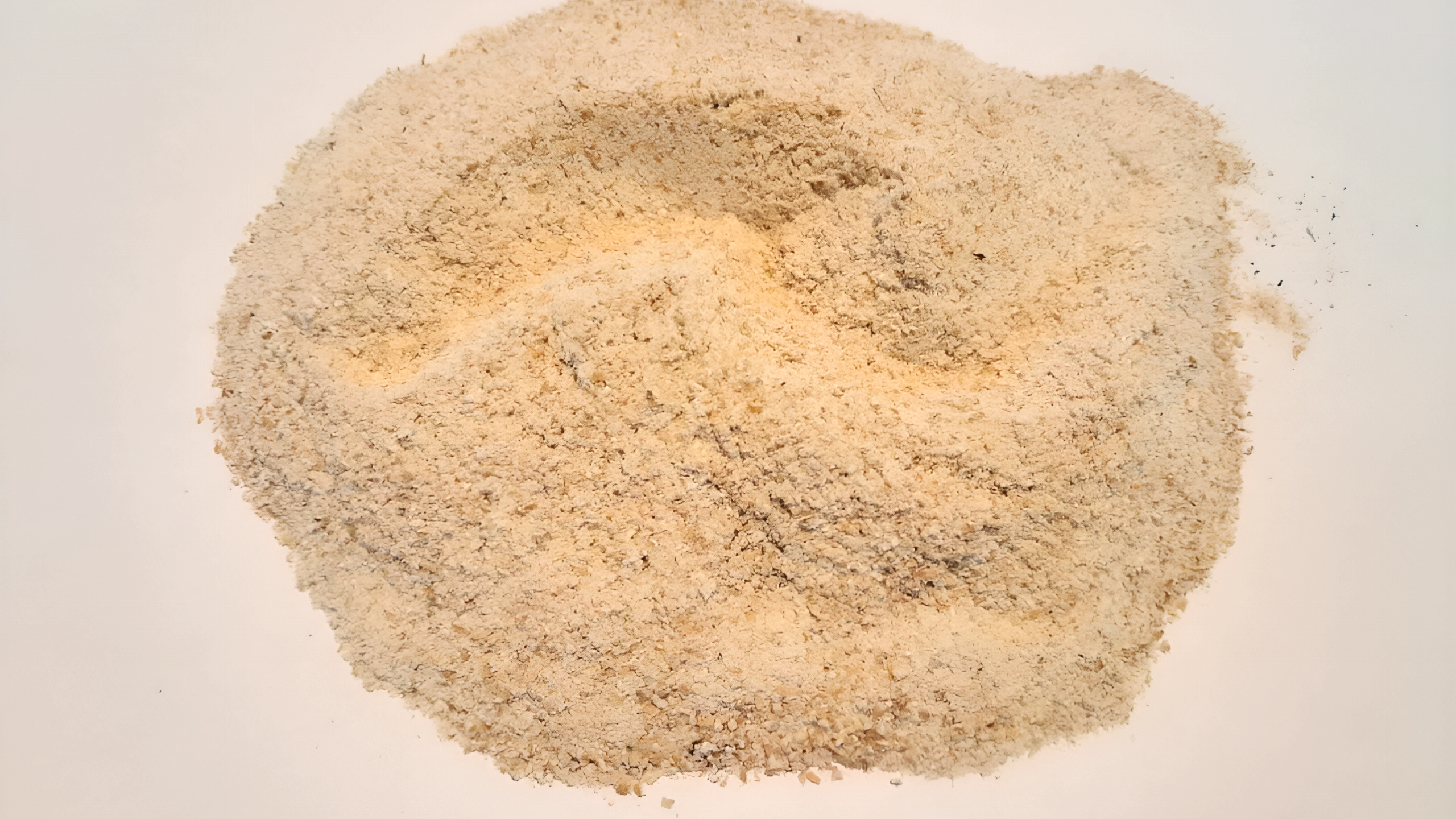 Wheat Flour for Feed