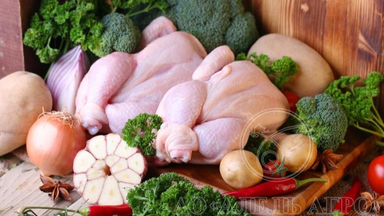 Broiler chicken carcass from Alel Agro