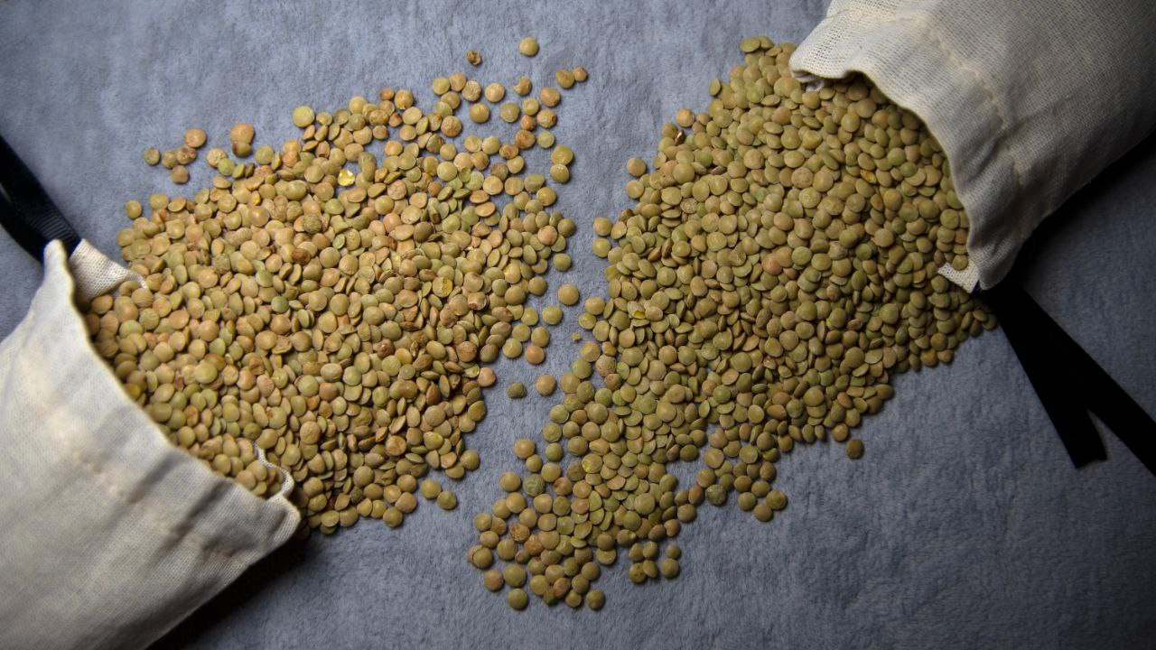 Green Lentils 