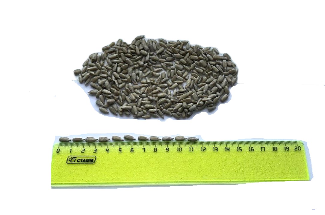 Sunflower Kernels (Peeled)
