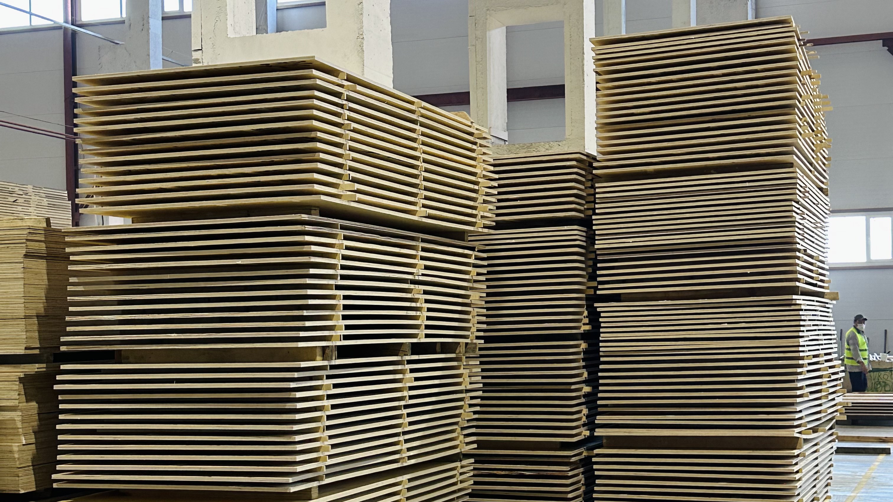 Birch plywood by Nord Panels
