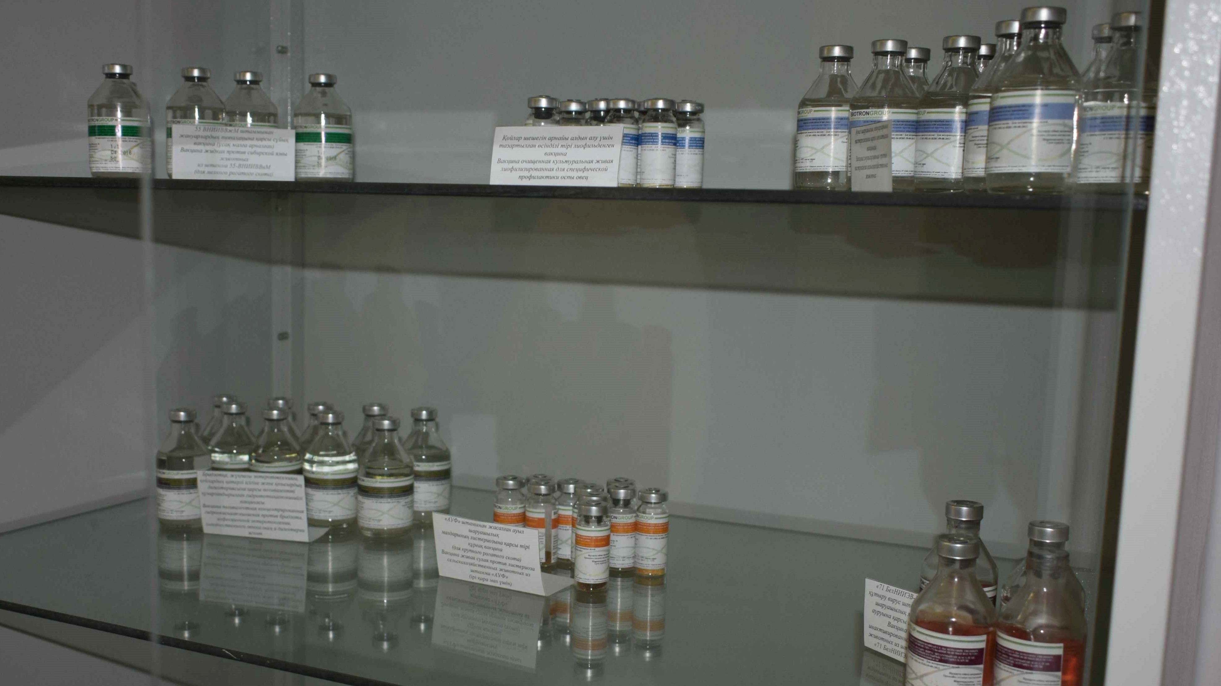 Anthrax Vaccine for Animals (Strain 55-VNIIVViM)