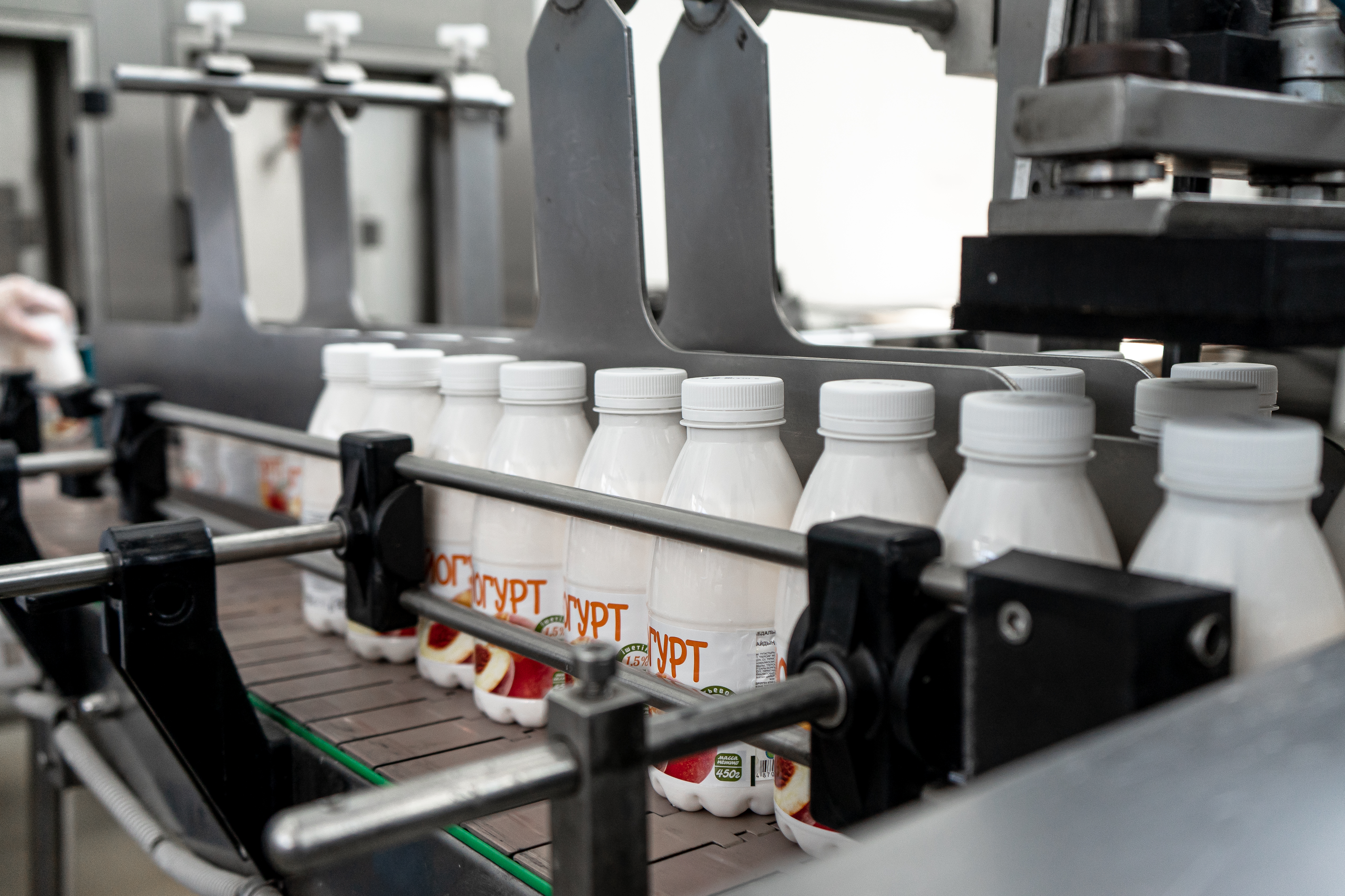 Dairy and fermented milk products