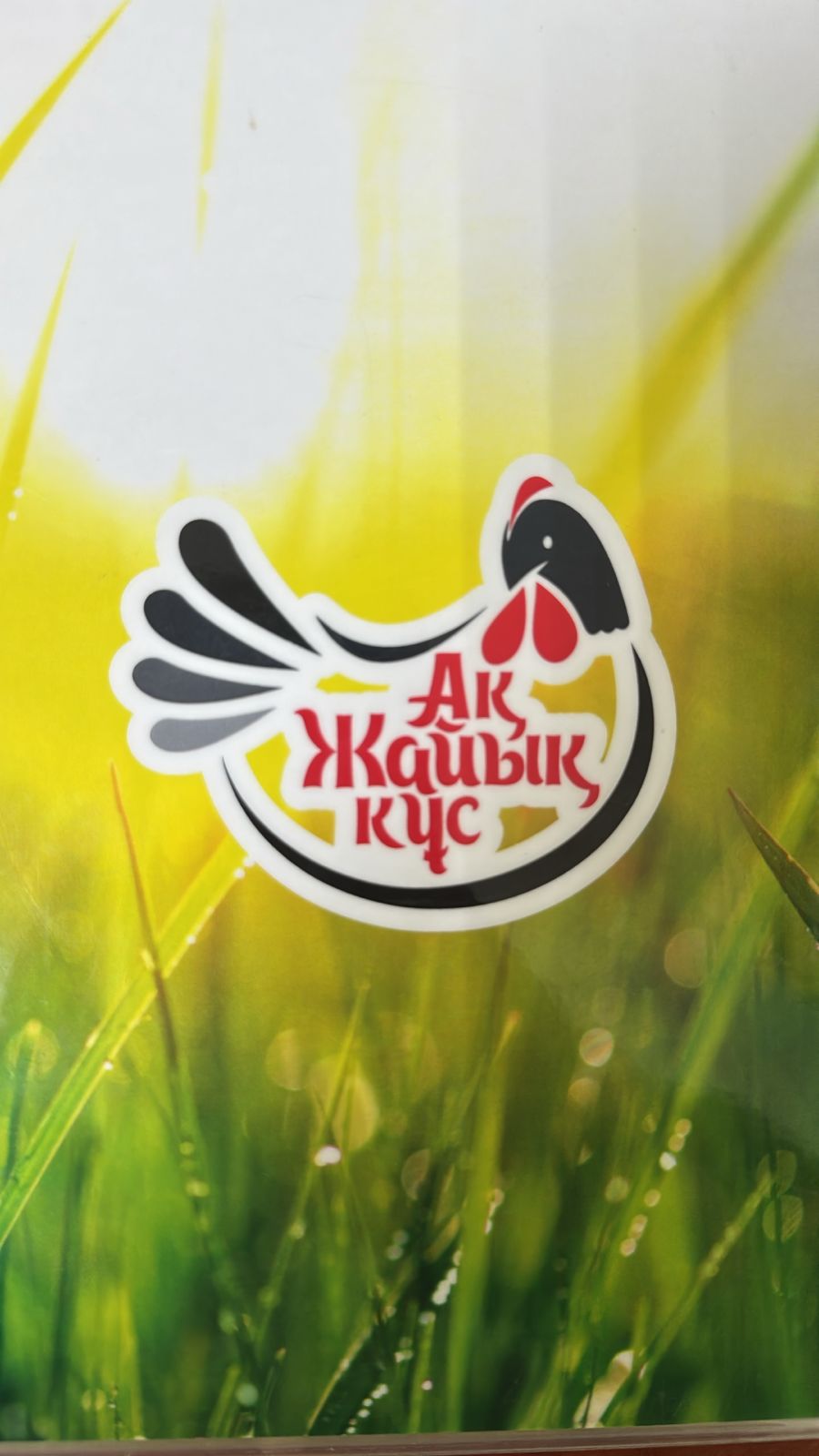 “MPK (Meat Processing Complex) Akzhaiyk” IE