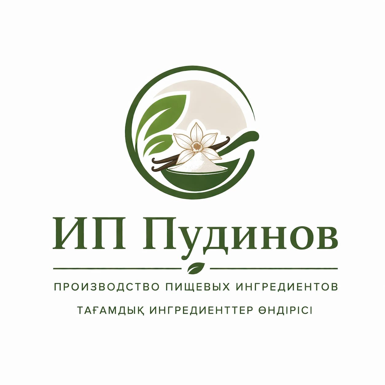 IE Stanislav Leonidovich Pudinov