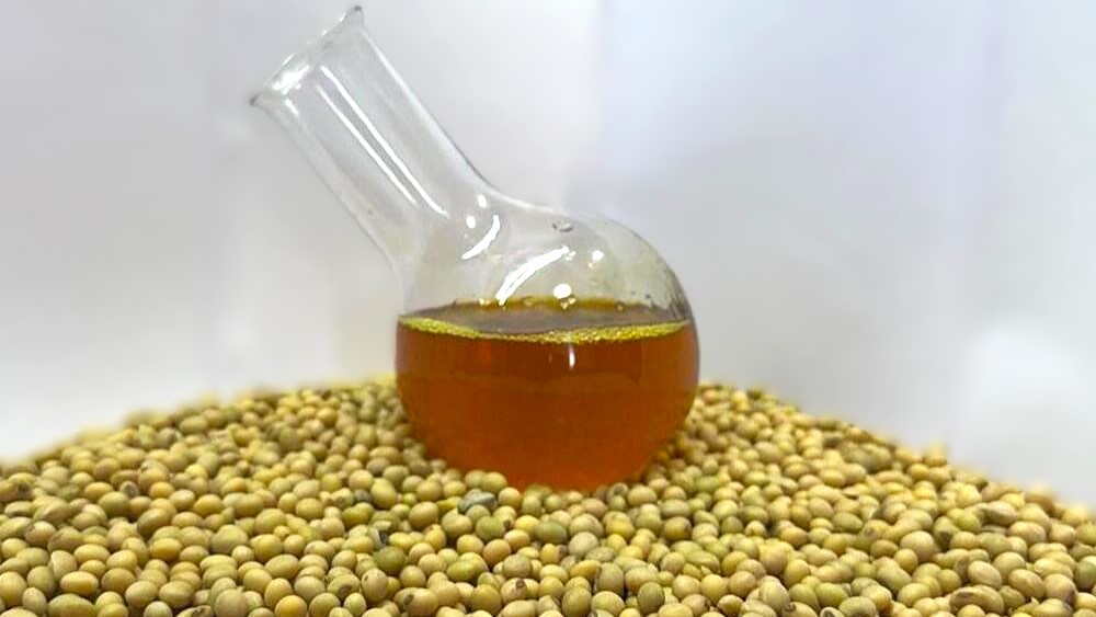 Crude soybean oil (Bulk)