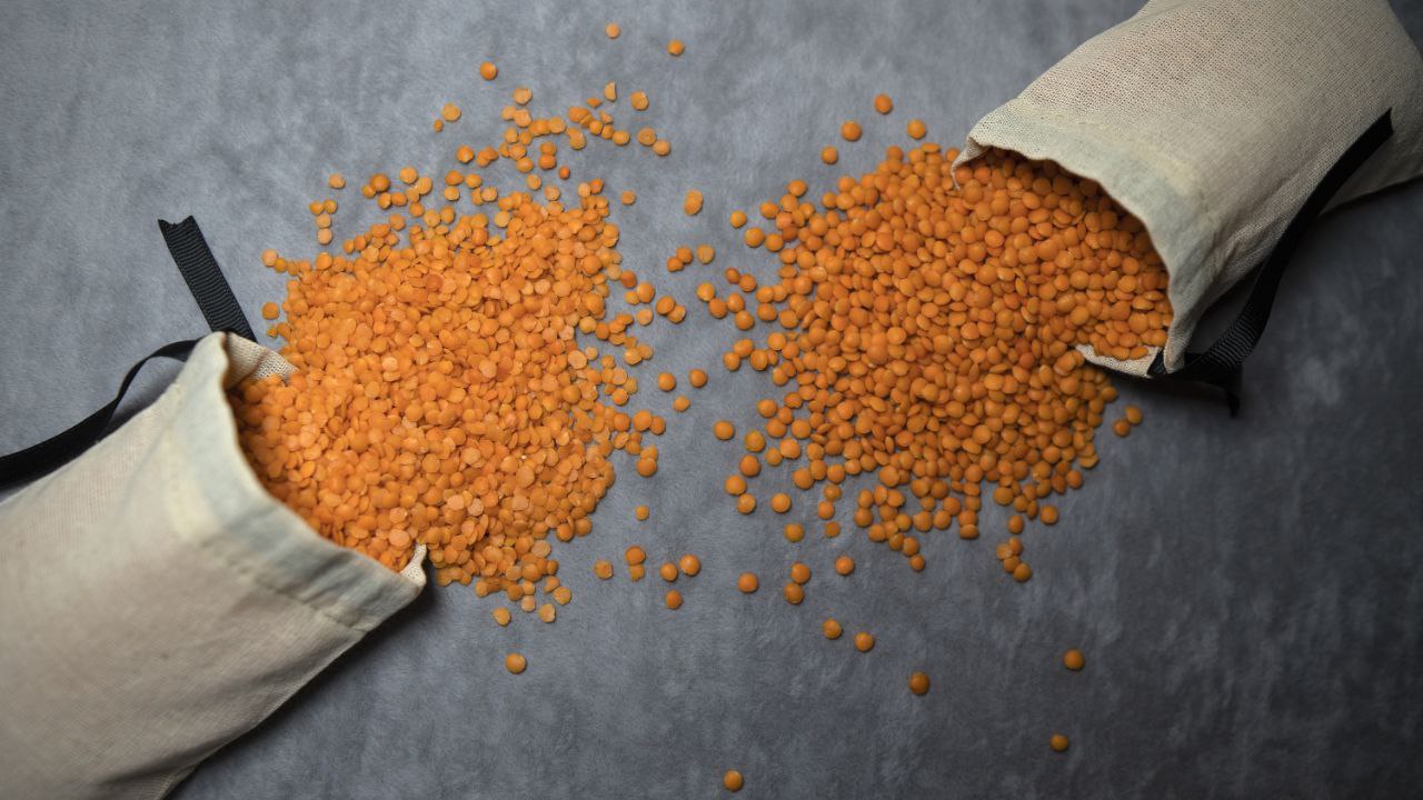 Red Lentils 