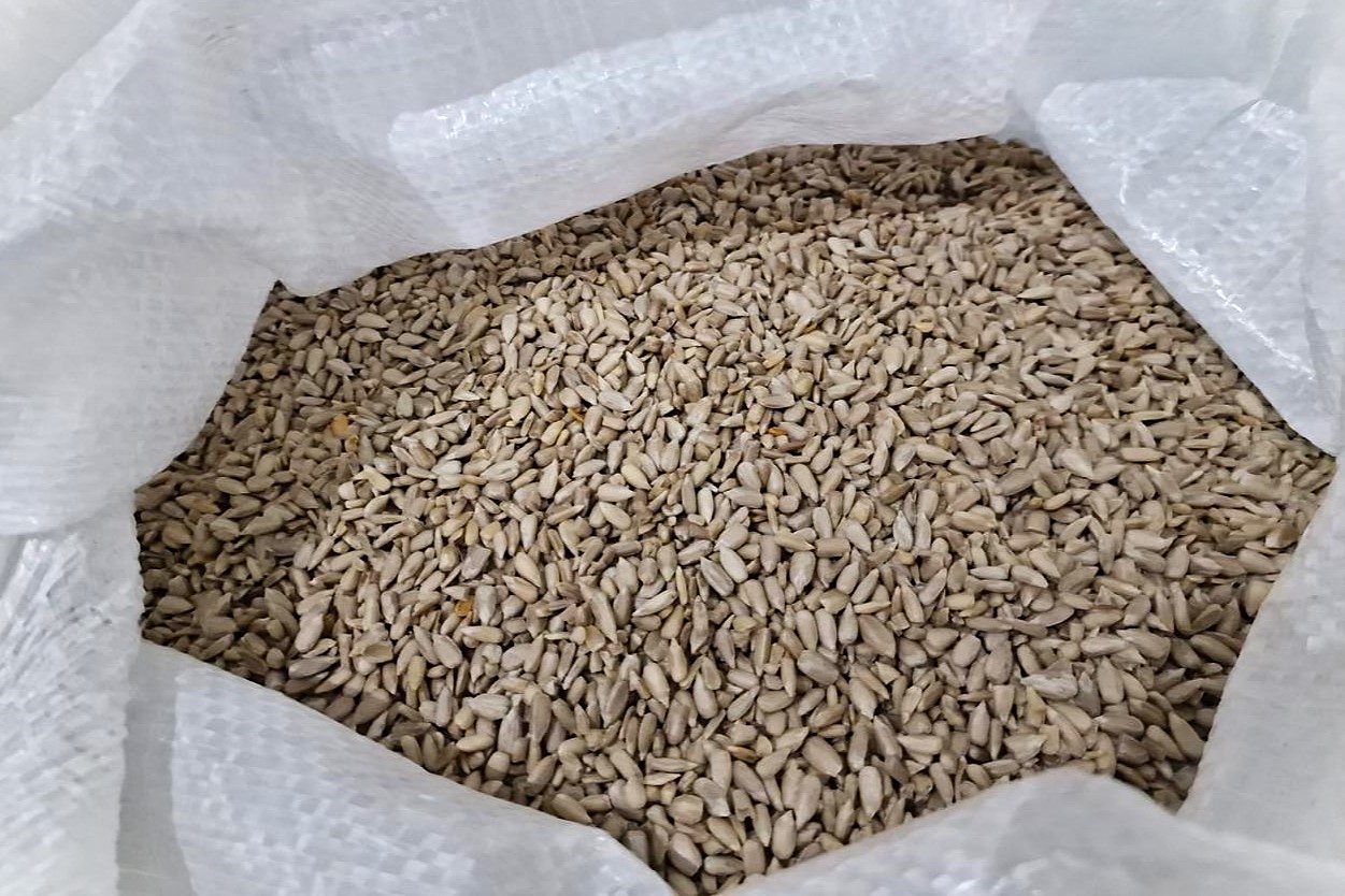 Sunflower Kernels (Peeled)