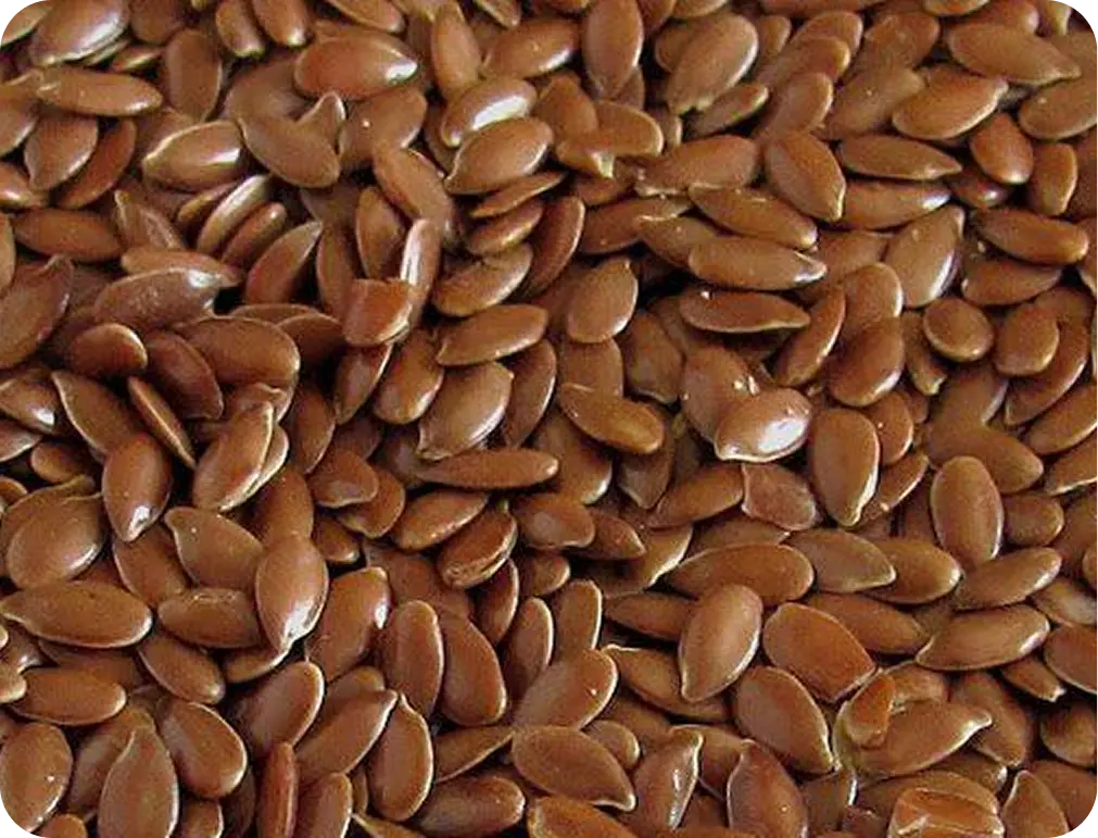Flax seeds