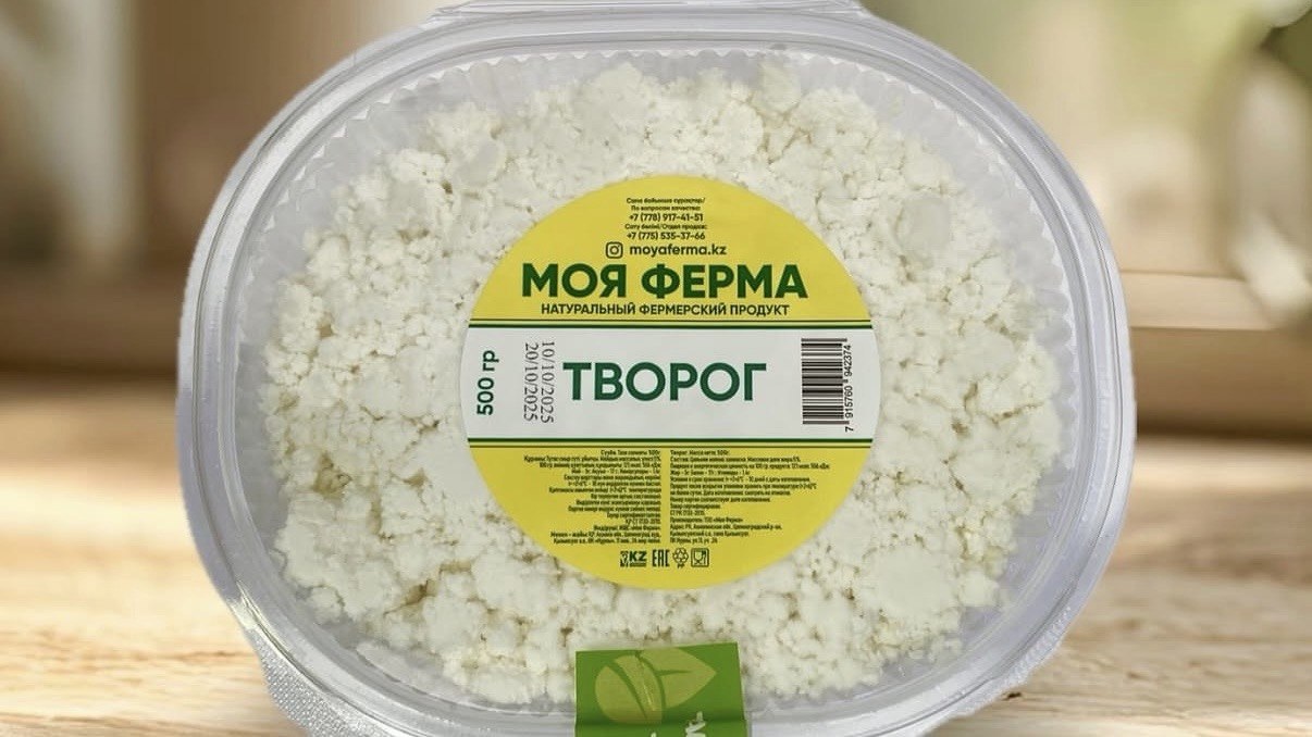 cheese