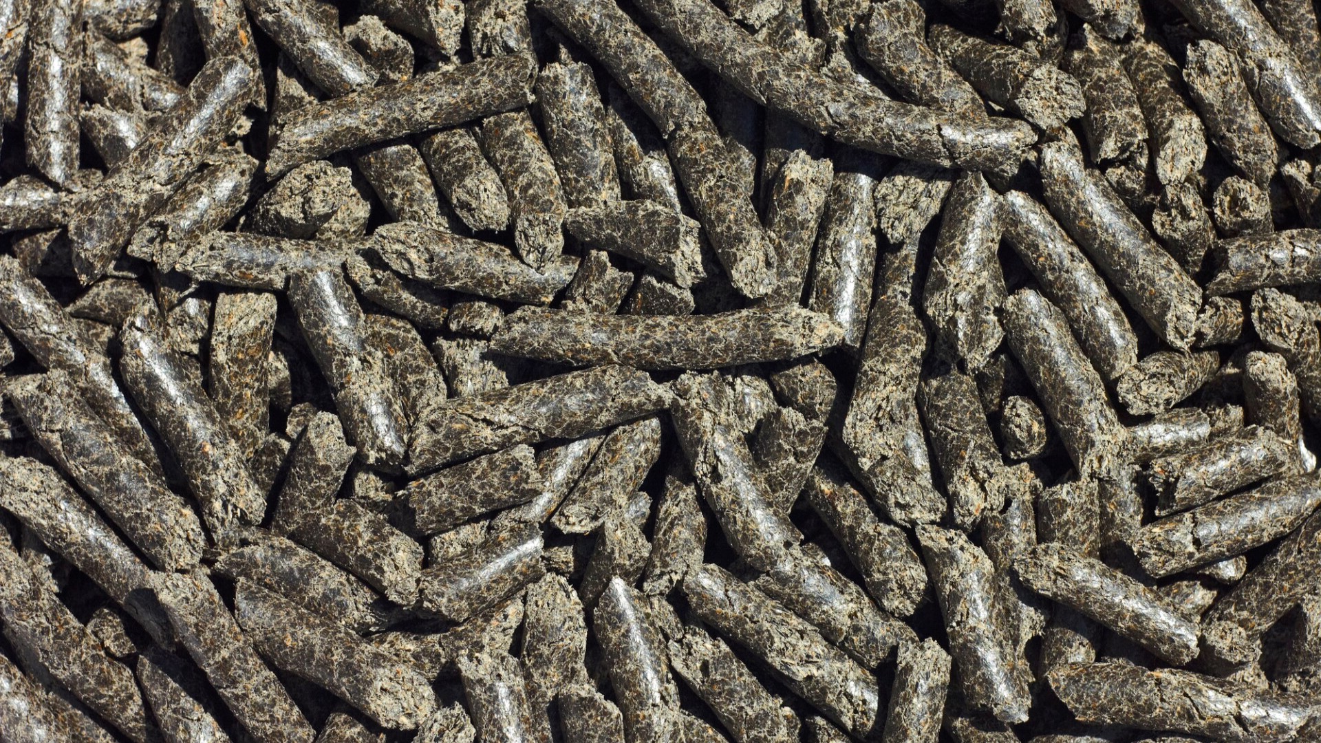 Sunflower meal (feed)