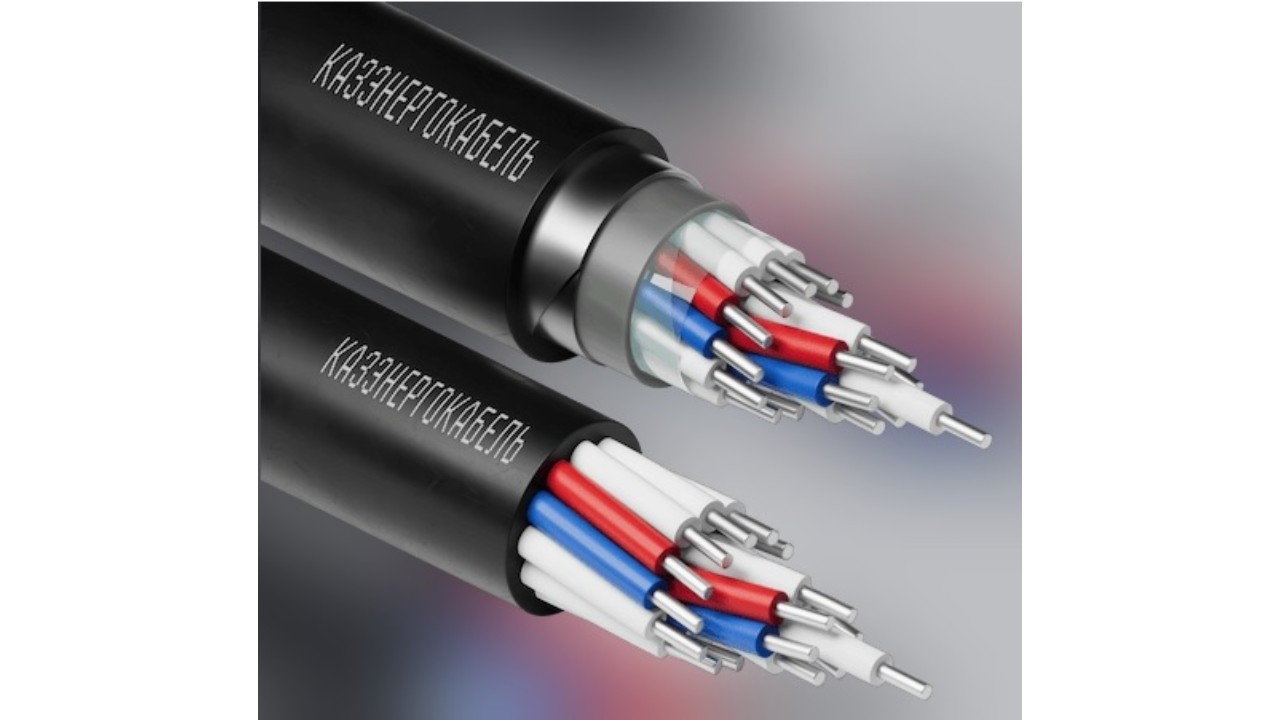 Control cable