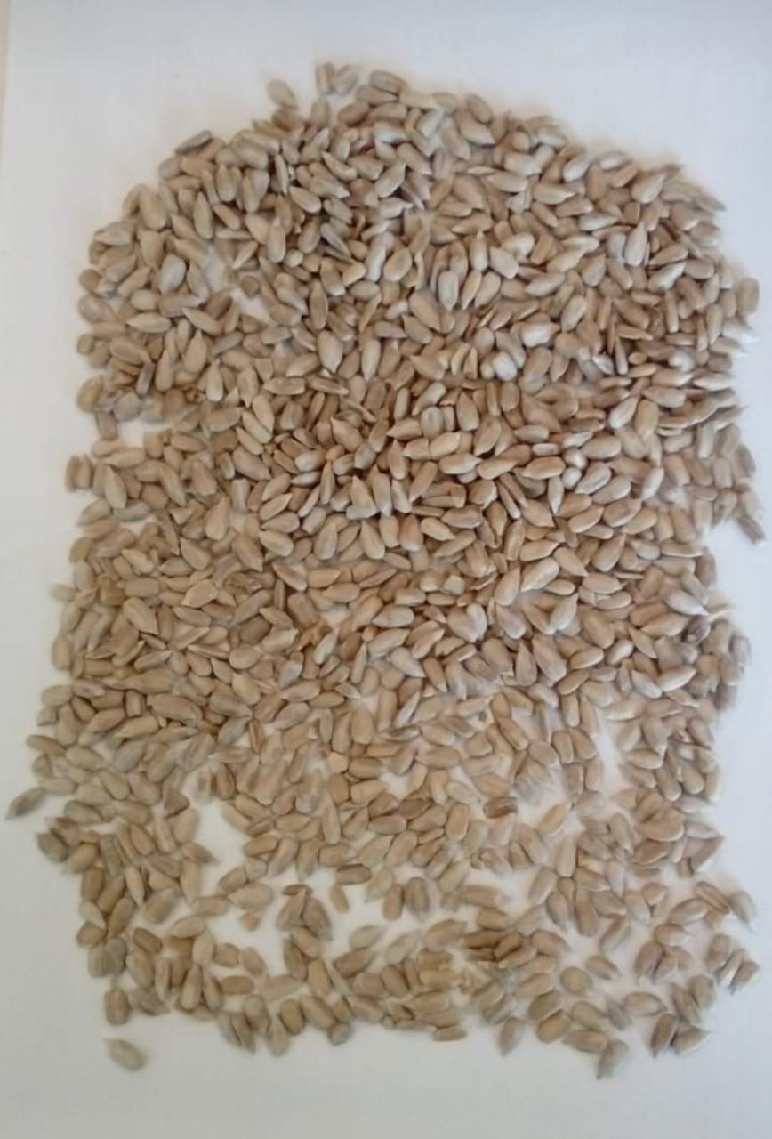 Sunflower Kernels (Peeled)