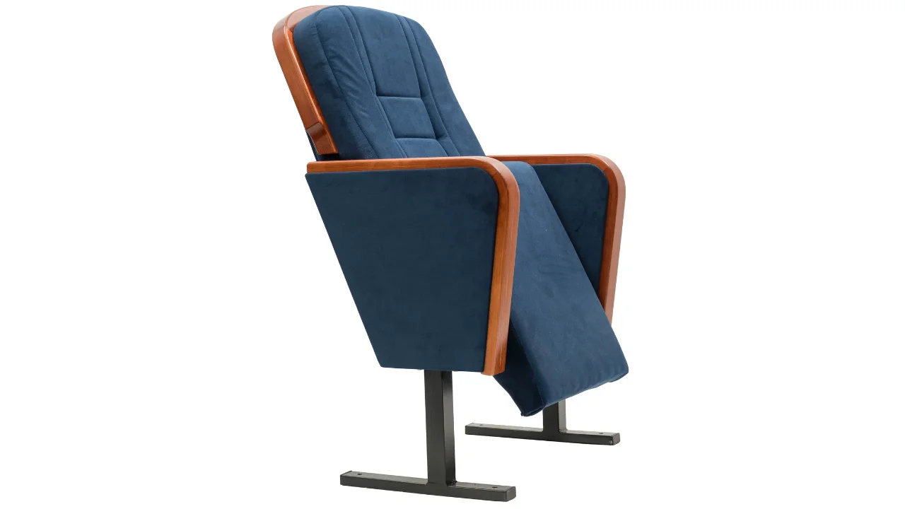 Auditorium Chairs