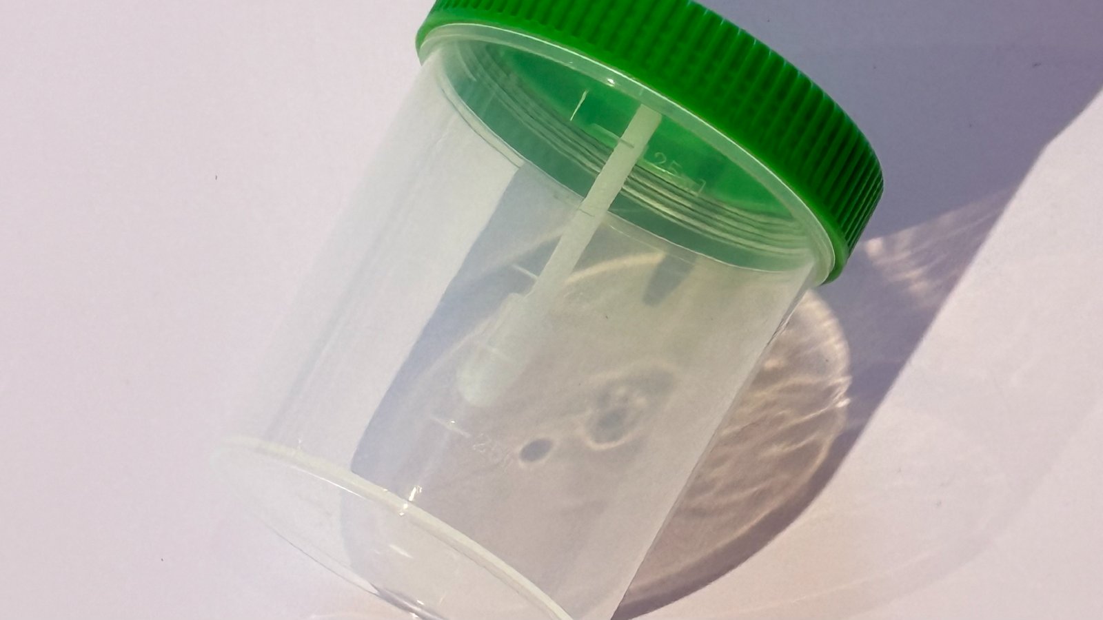 production of disposable medical products