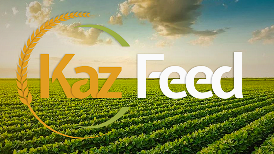 KazFeed  LLP