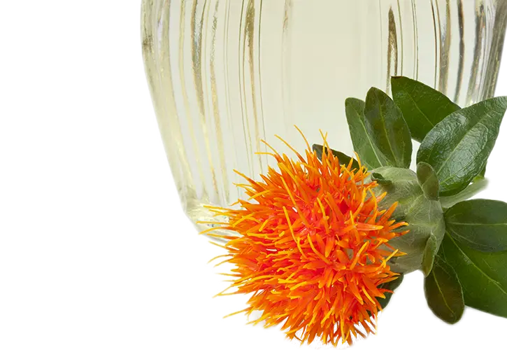 Safflower oil (bulk)