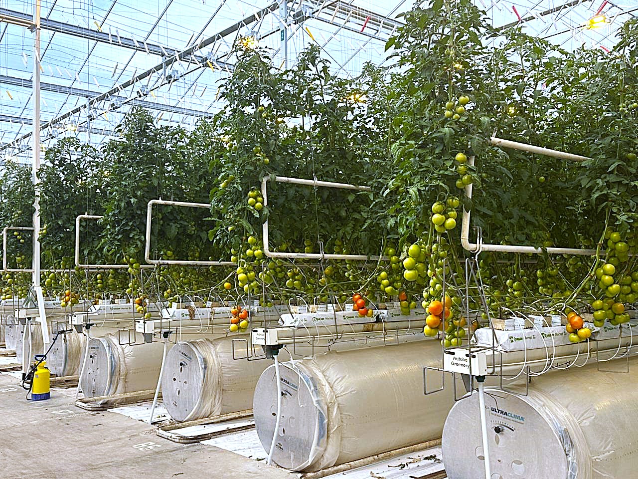 Green Capital Kazakhstan LLP