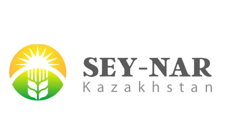 SEY-NAR LLP 