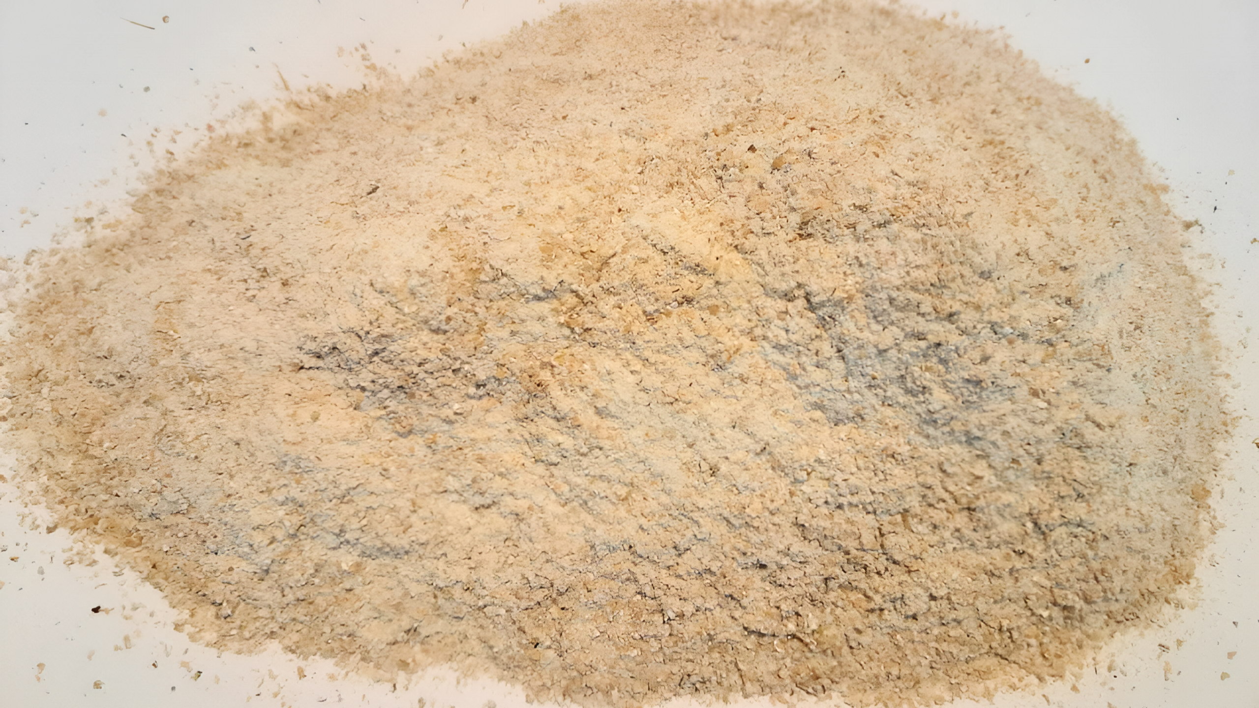 Wheat Flour for Feed