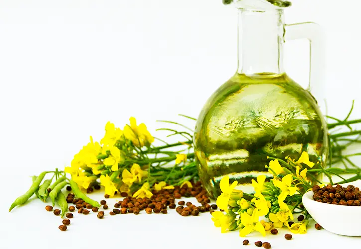 Rapeseed Oil (bulk)