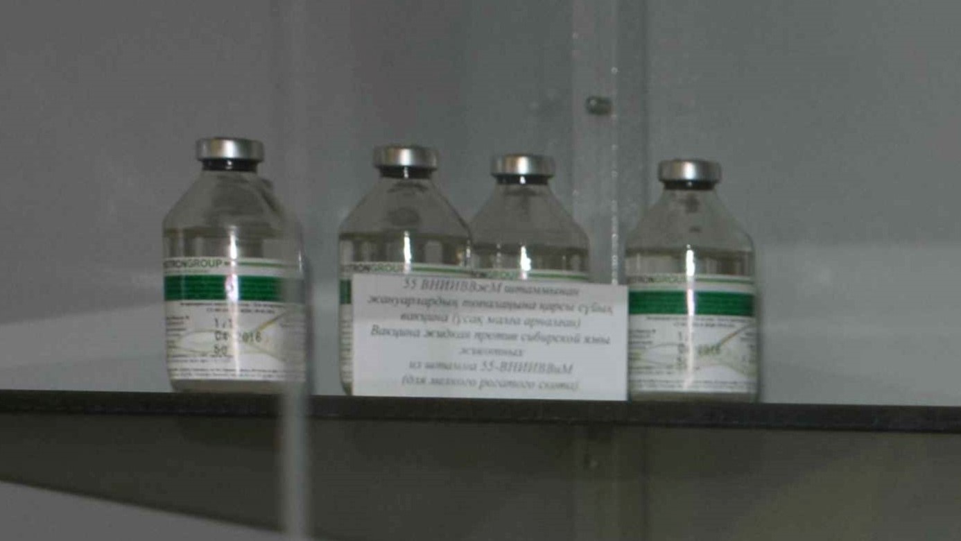 Anthrax Vaccine for Animals (Strain 55-VNIIVViM)