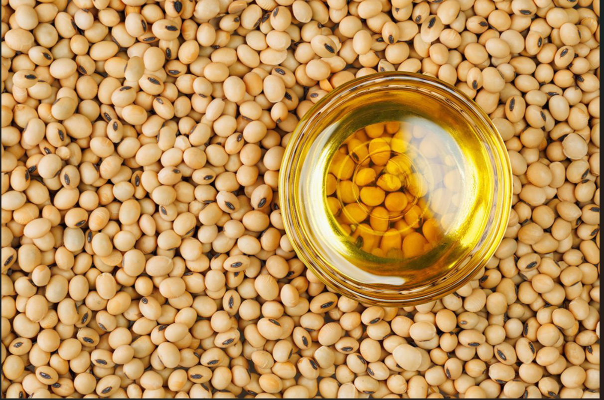 Crude soybean oil (Bulk)