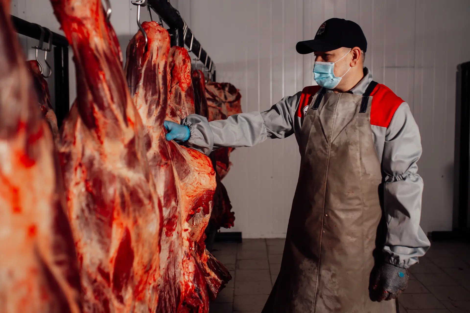 Meat. Beef in carcasses 