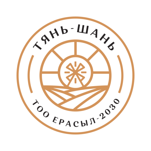 LLP “ERASYL – 2030”