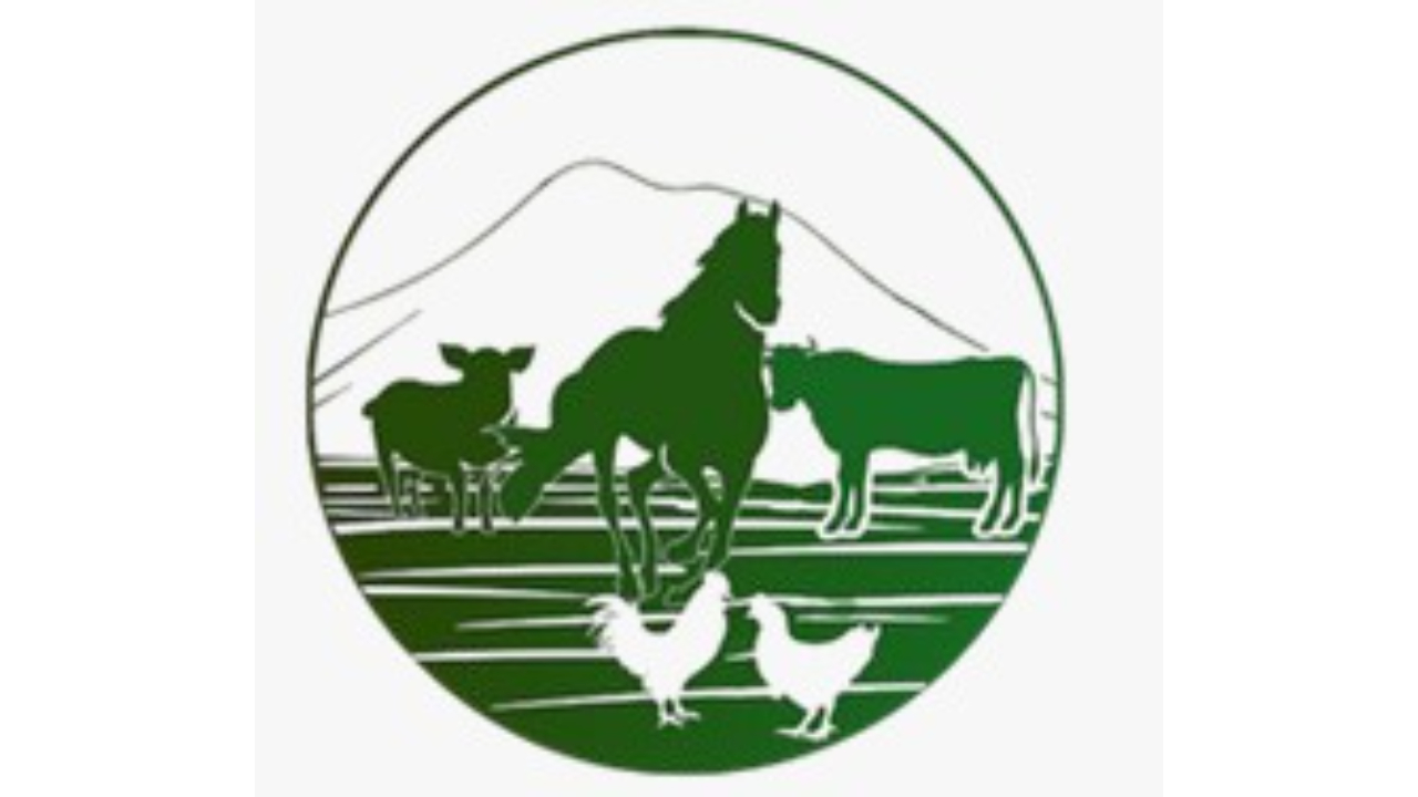 Dapibus Agro ЖШС