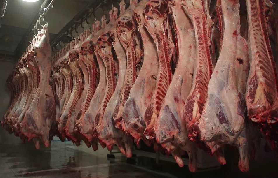 Meat (Beef)