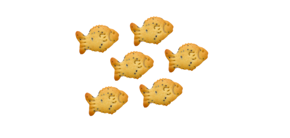 Stringy cookies