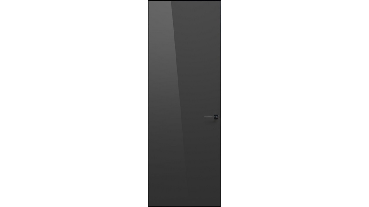 Steppe Doors Concealed Mirrored Door