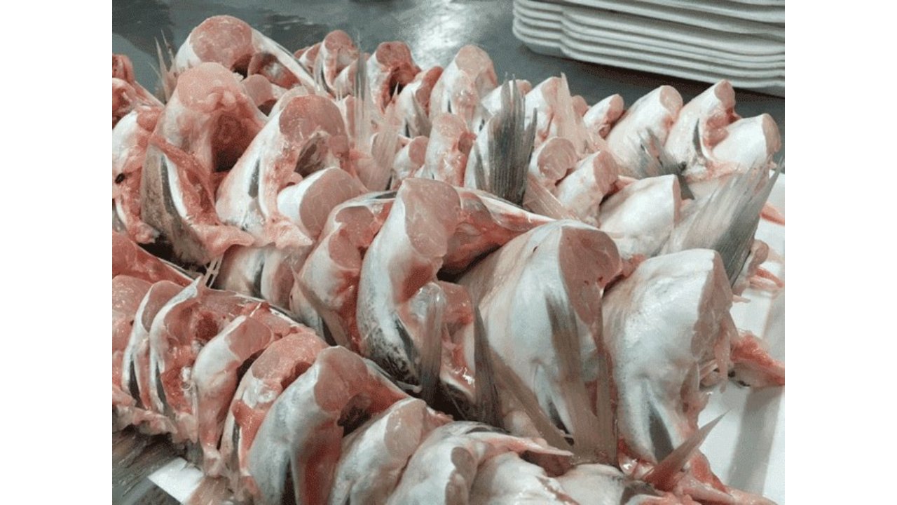 Frozen Pike Perch Fillet